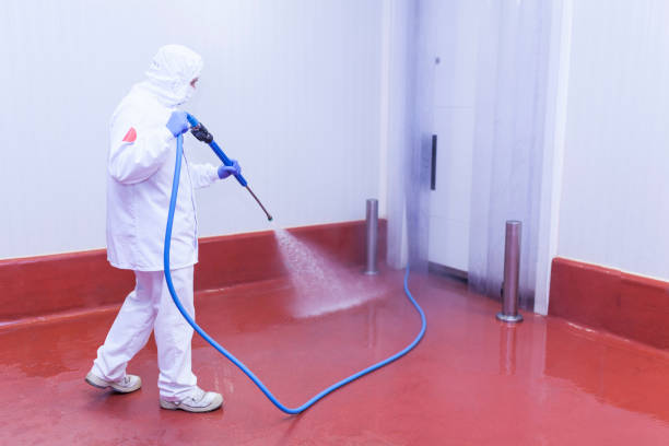 Best Factory Floor Cleaning  in Bellflower, CA